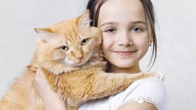 家里有孩子的合适养什么短毛宠物,学生党合适养1-5块钱的宠物