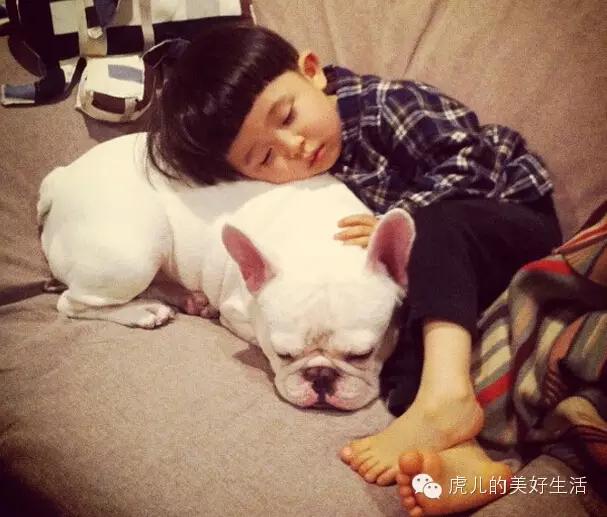 家里有孩子的合适养什么短毛宠物,学生党合适养1-5块钱的宠物