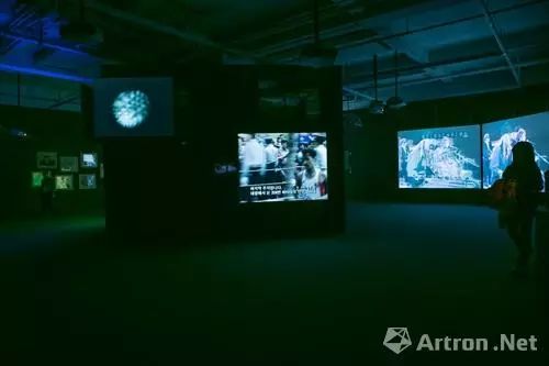 白南准与博伊斯,白南准向博伊斯致敬