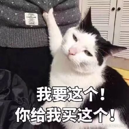 1000到2000轻奢包包推荐,1000左右的轻奢包都有哪些品牌