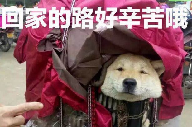 福清出入境最新通知,福清人去福州办护照能够吗