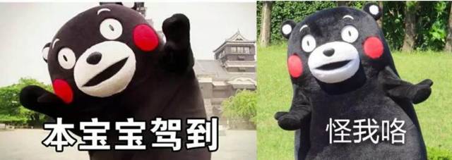 警惕：特色小镇建设应因地制宜量力而行，避免一哄而上造成烂尾工程