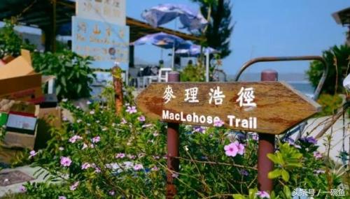 香港尖沙咀有什么地方能够逛,香港不只有繁华更有市井