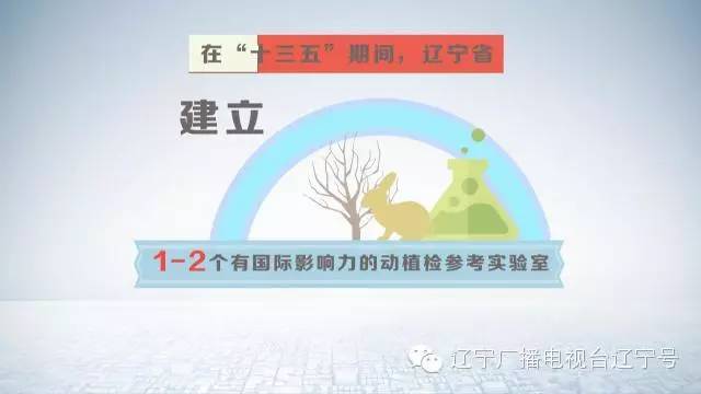 出境旅游最多可带多少现金,五一愉快出境游这些规矩不能忘