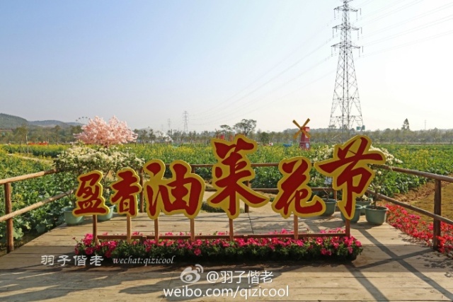 2017年工作总结视频,年终总结收获与展望