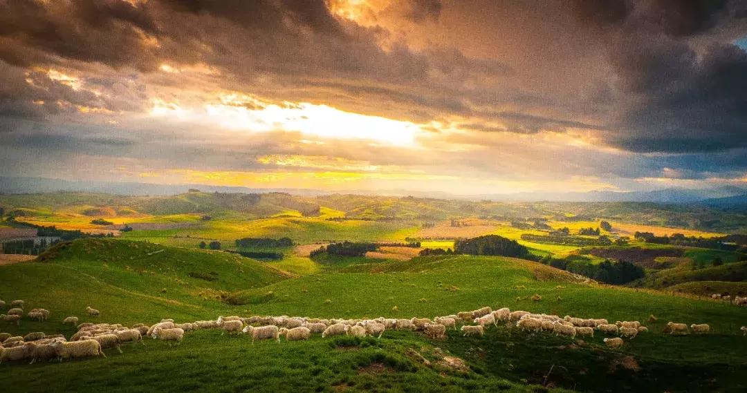 必看bbc10部地理纪录片,bbc十部顶级纪录片