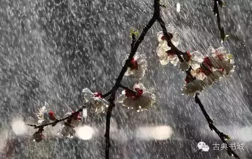 腊八十首经典诗词,赞美腊八饭的诗