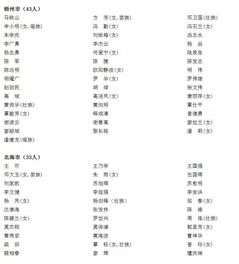 广西新一届全国人大代表完全名单,广西审计厅人事任免人员调任公示