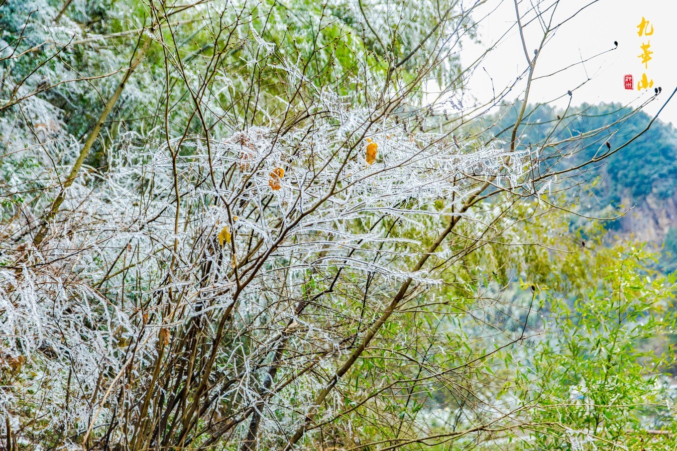 登九华山要多少时间,登九华山多少台阶