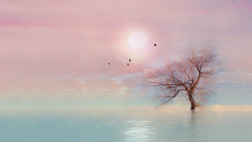 涂磊老师说过一段最扎心的话,关于爱情涂磊完全版