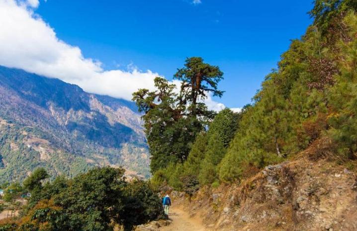 尼泊尔安纳普尔那山徒步,徒步探秘尼泊尔