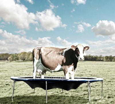 ps怎么用奶牛的斑点,ps如何调整牛肉颜色