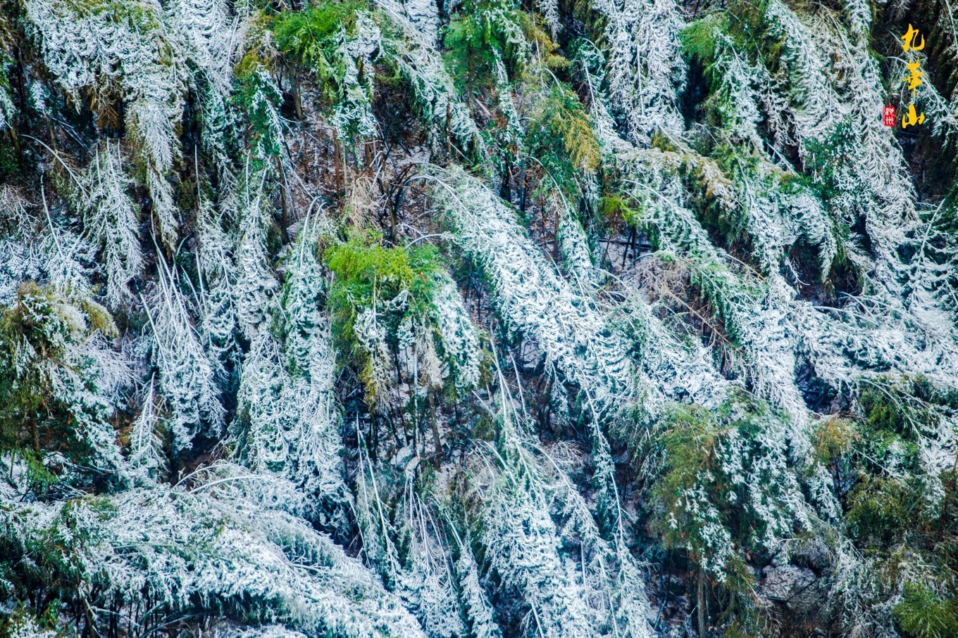 登九华山要多少时间,登九华山多少台阶