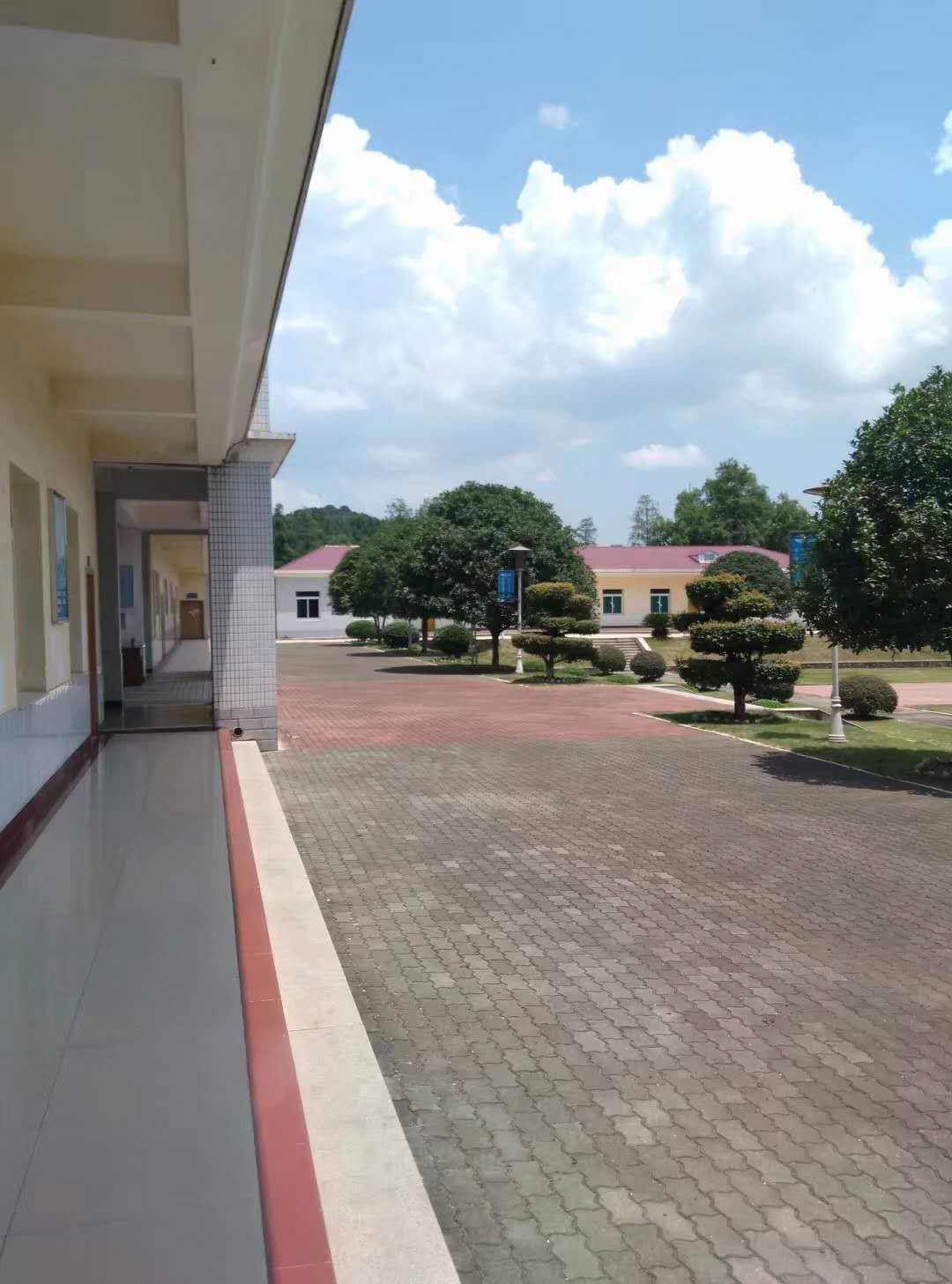 表白神器绝对一次就告捷,5款表白神器