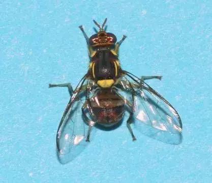 南通机场安检查到违禁品,南通机场违禁物品