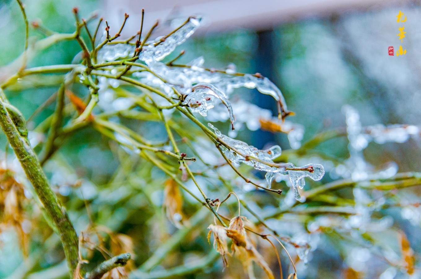 登九华山要多少时间,登九华山多少台阶