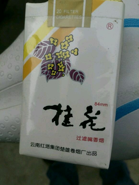 一支寂寞孤独的香烟 (有没有一款香烟一直陪伴着你)