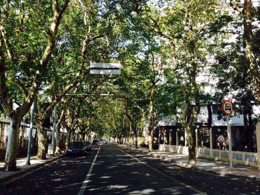 上海旅游十佳新景点推荐,上海10大旅游景点推荐