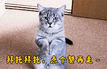 十大零差评粉底液,公认1000元左右贵妇级粉底液对比