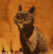 男人一身标配多少钱,男生一身打扮多少钱