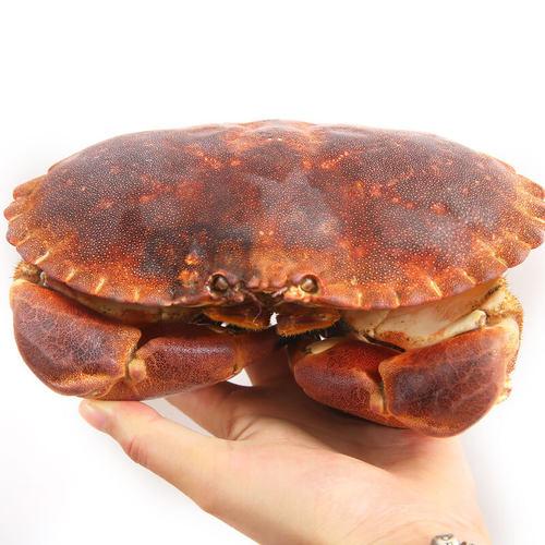 寒冷的冬天唯有火锅能够拯救,寒冷的冬天唯有火锅暖胃又解馋