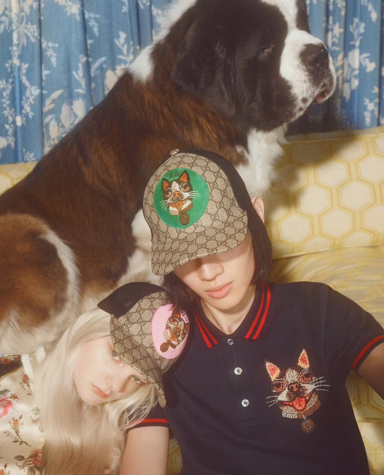 古驰小狗短袖,古驰小狗