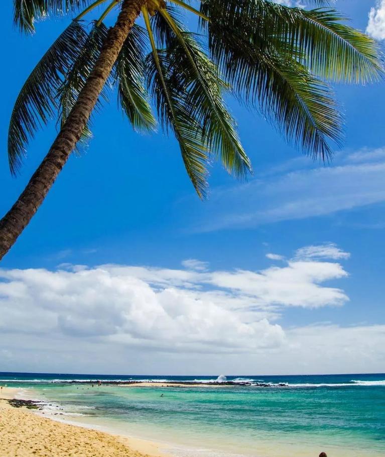 侏罗纪世界公园取景地,侏罗纪公园拍摄地点在哪里