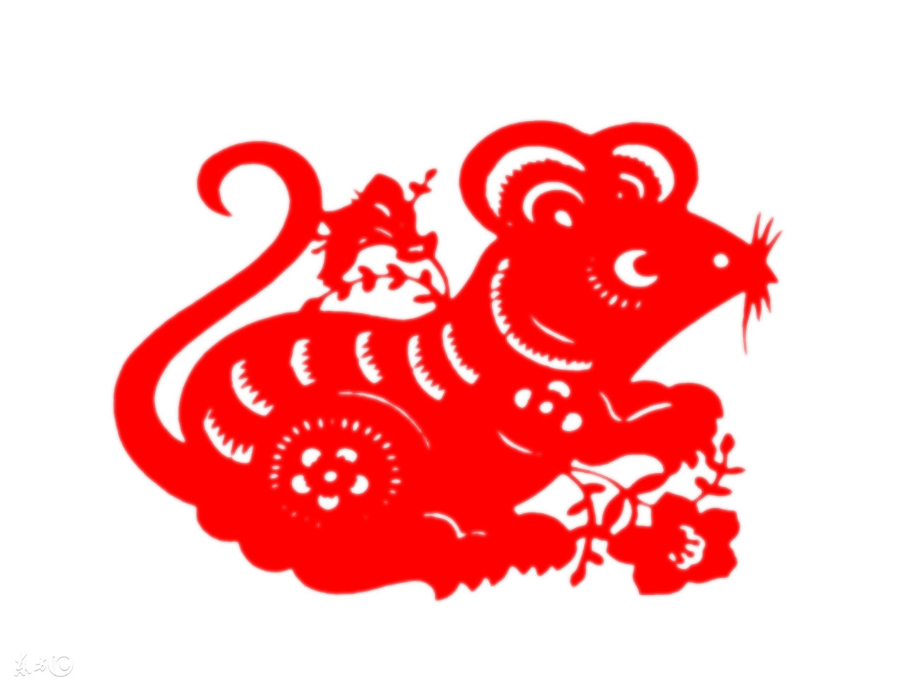 属牛人和属鼠人合作全年运势,属鼠和属牛今年运气怎么样