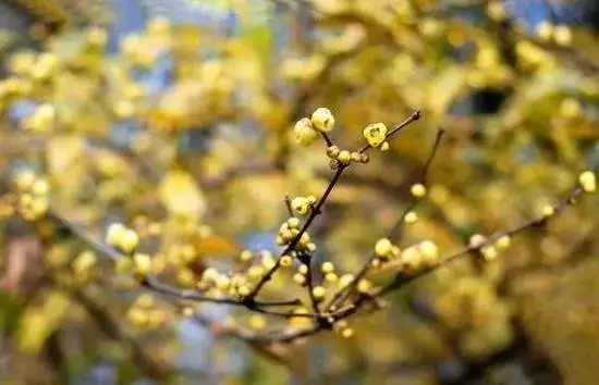 郑州冬天带小孩合适去哪里玩,郑州冬天到内蒙自驾游最佳路线