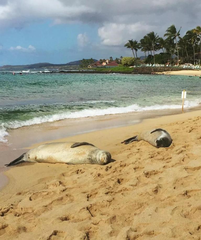 侏罗纪世界公园取景地,侏罗纪公园拍摄地点在哪里