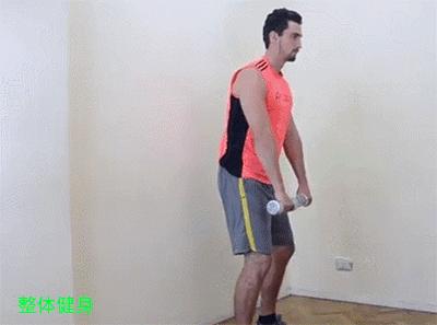 腿部哑铃健身动作图解大全,新手健身哑铃练几个动作最好减肥