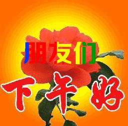 坐等群聊表情包图片大全,合适往群聊里发的表情包