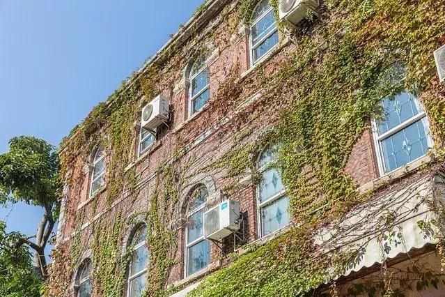 厦门旅行攻略亲子游,厦门自由行亲子游最强攻略