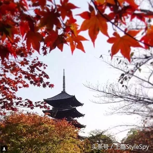 杨树林哑光口红推荐,杨树林口红哪个色号合适黄干皮