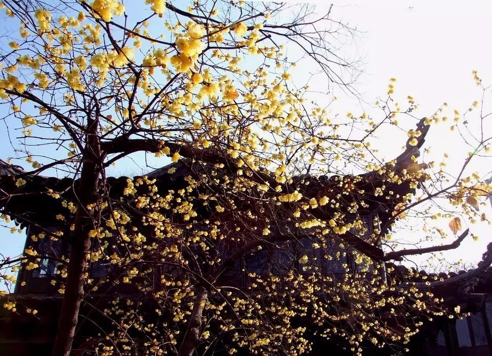 郑州冬天带小孩合适去哪里玩,郑州冬天到内蒙自驾游最佳路线