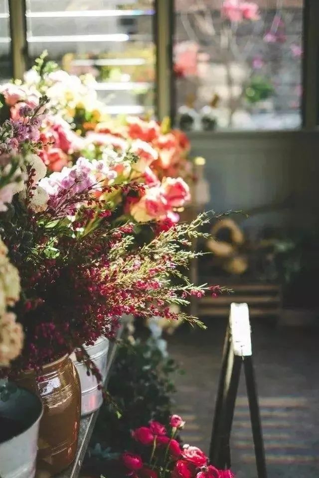 我的内心住着一个乌托邦,只想生活在自己的乌托邦里