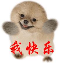 坐等群聊表情包图片大全,合适往群聊里发的表情包