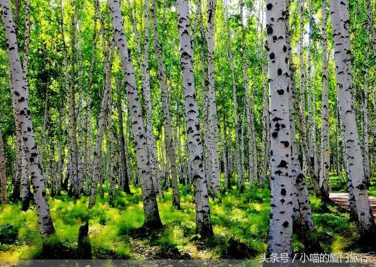 中国最美少数民族村寨,少数民族特色村寨民俗旅游