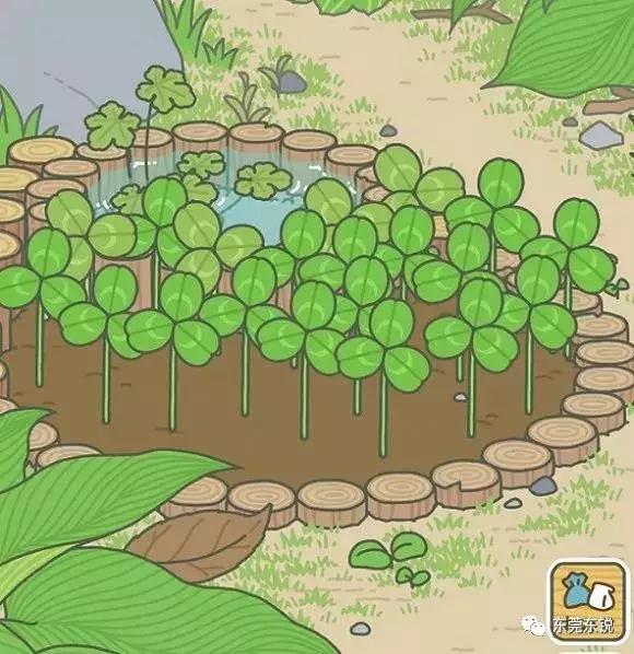 蛙宝的缺点,蛙宝的真实样子