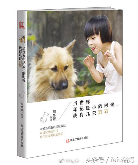 狗年大吉：春节相关和狗狗图书书单