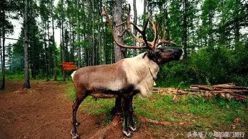 中国最美少数民族村寨,少数民族特色村寨民俗旅游