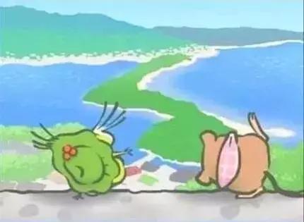 蛙宝的缺点,蛙宝的真实样子