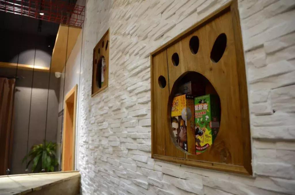 杭州能够撸猫的店,杭州撸猫地方推荐