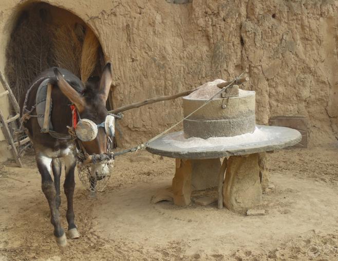 茅侃侃自杀拷问创业者，什么是创业？什么是告捷？