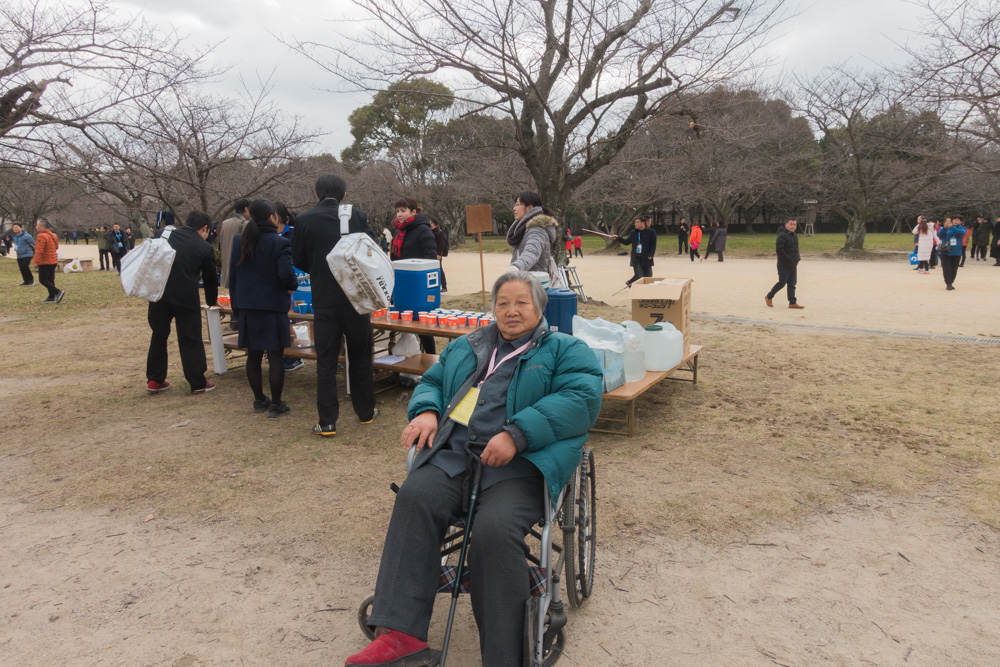 邮轮旅游的魅力,探秘邮轮旅游的豪华与实惠