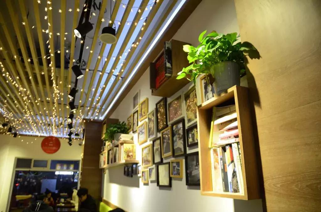 杭州能够撸猫的店,杭州撸猫地方推荐