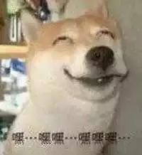 在万米高空上搞机有多爽？亲身体验后我跟你说