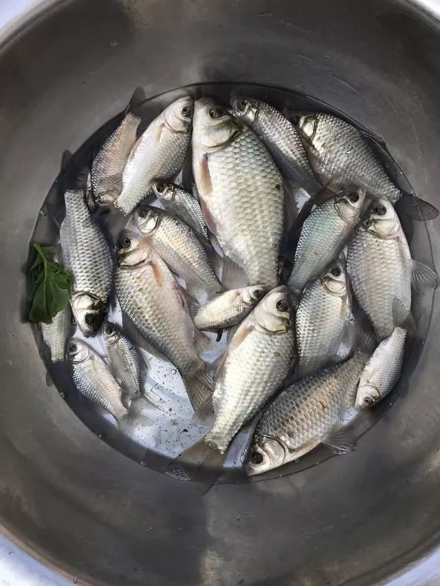 爆炸钩用好，你知道会有什么效果吗？