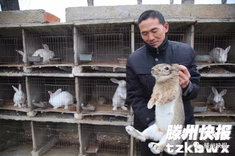 滕州有个“兔行家”，立志打造中国制造品牌