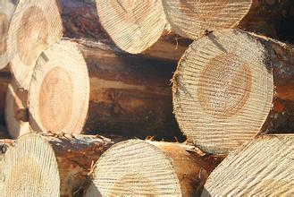 大自然黑胡桃实木地板是什么木材,大自然北美黑胡桃纯实木地板